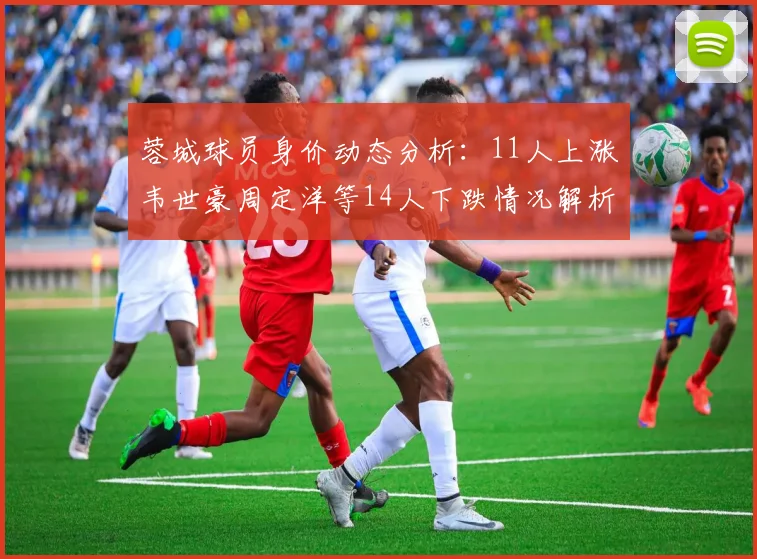 蓉城球员身价动态分析：11人上涨韦世豪周定洋等14人下跌情况解析