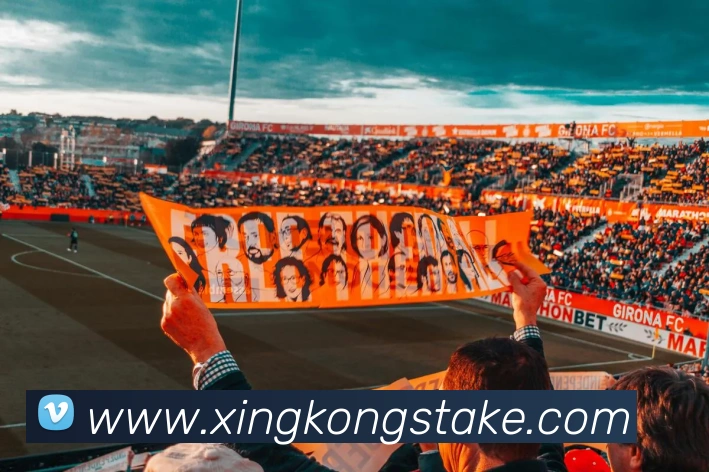 星空体育发展历程